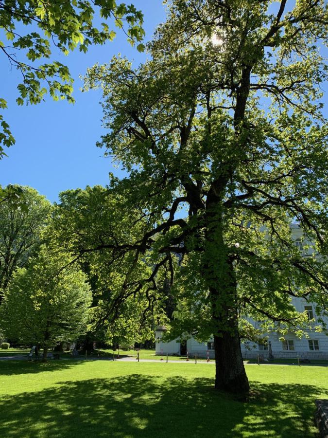 Schlosspark Grubhof - Mitterer ซังคท์มาร์ทิน เบ โลเฟอร์ ภายนอก รูปภาพ
